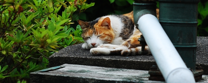 物件見学のしかた