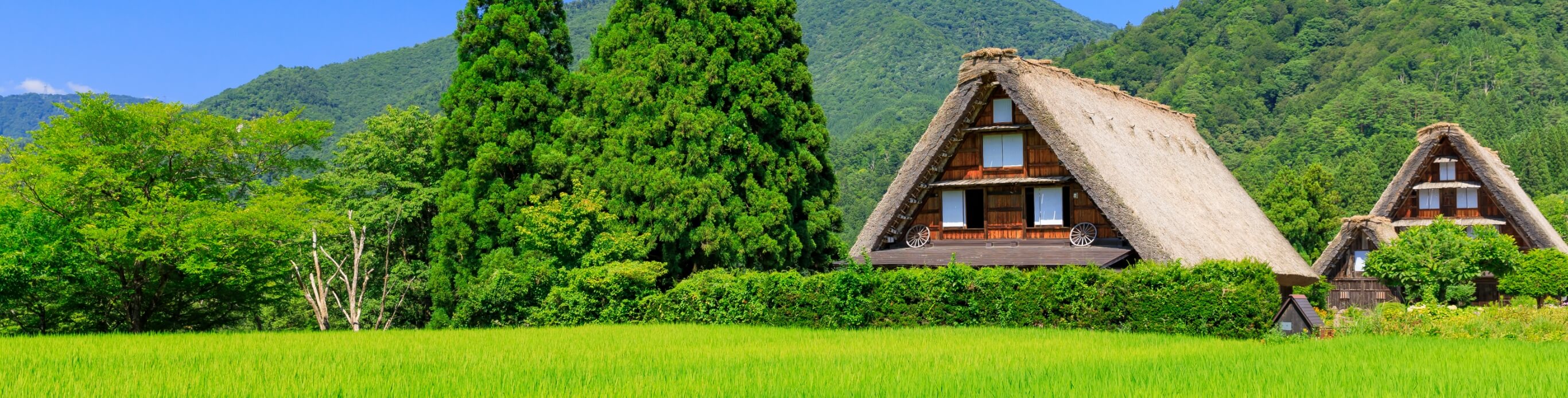 ニュース&イベント一覧