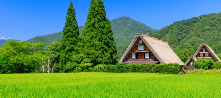 ニュース&イベント一覧