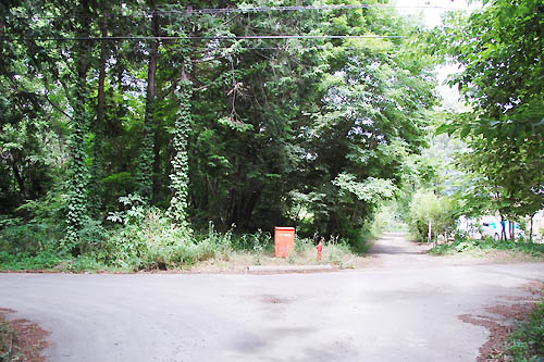 森の中の道、消火栓の向こうが物件。①