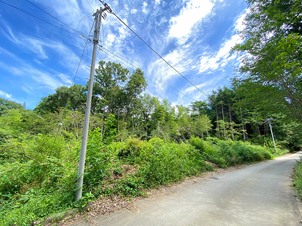 森を背負った立地。５０２坪の土地。①