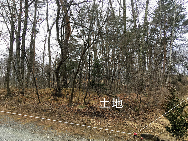 東側から土地を見る②