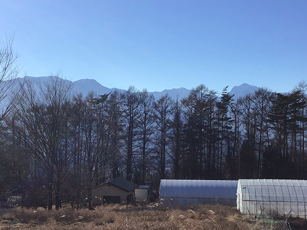 敷地内から見た甲斐駒ヶ岳、鳳凰山山方面。②