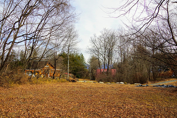 ２．219坪の土地。敷地内の大部分の木は伐採済み。①