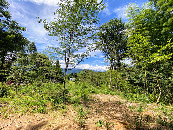日当たりの良い土地。西方向へ穏やかに傾斜した地勢。②
