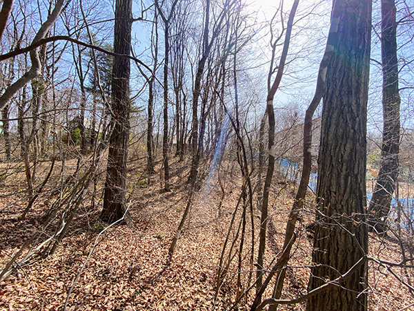 西側からの眺め。東側が高く、西側が窪んでいる。②