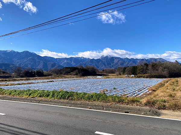 敷地西方向の眺め。畑の先に南アルプスの姿。