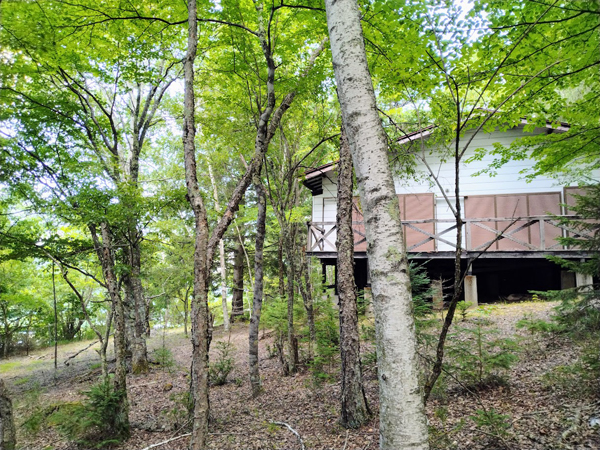 北隣地の様子。