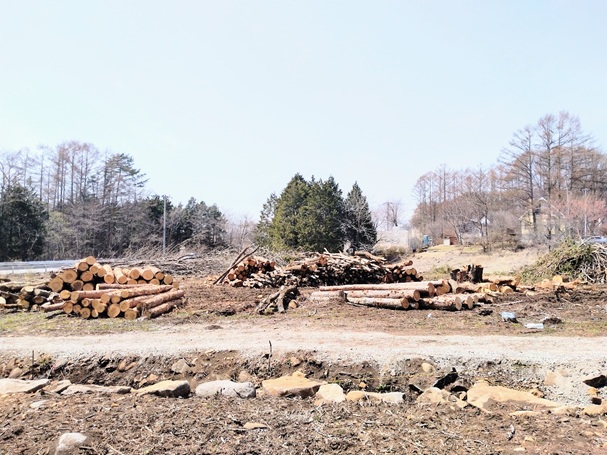③敷地より西側隣地を見る。