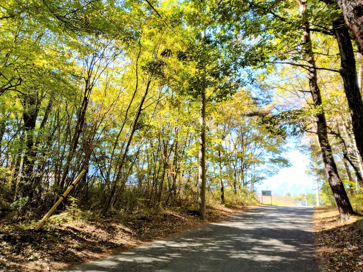 北側道路からの土地の様子。③