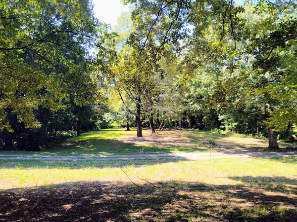 ③敷地から南を見る。前面道路は私道。