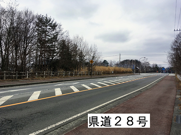 季節を通じて交通量が見込める県道28号