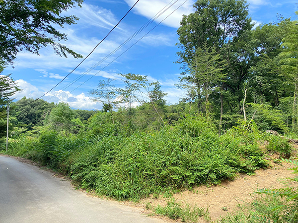 敷地東南側から北西方向を見る。③