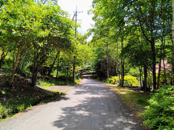 前面道路。分譲地内は緑豊か。