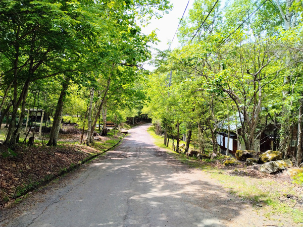 ⑤前面道路。分譲地内は緑豊か。