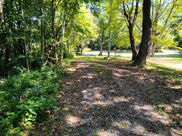 ⑤敷地の西側にある道の様子。