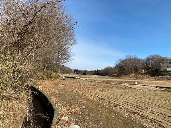 敷地の東側。一段下がって畑が広がる。