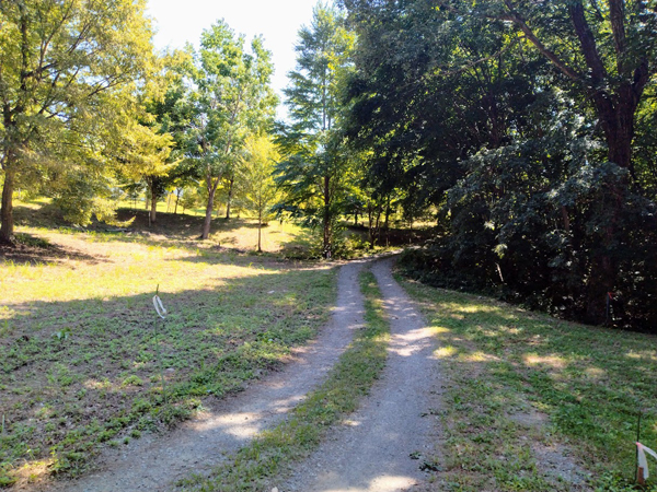 ⑥北側、前面道路。道より右側が本物件。