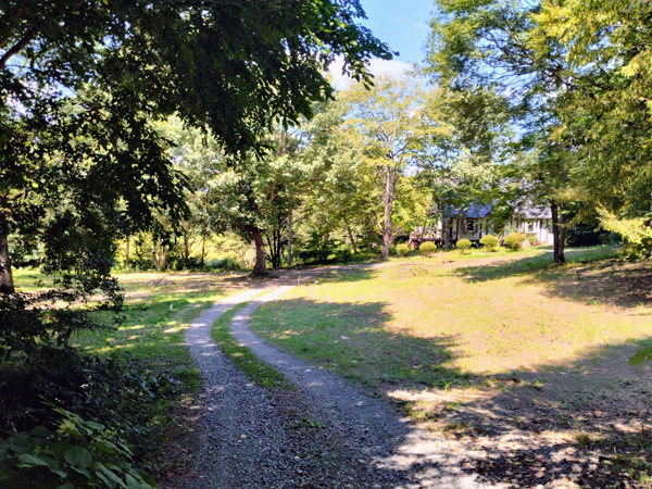 ⑥東より見る。道より右側が本物件。