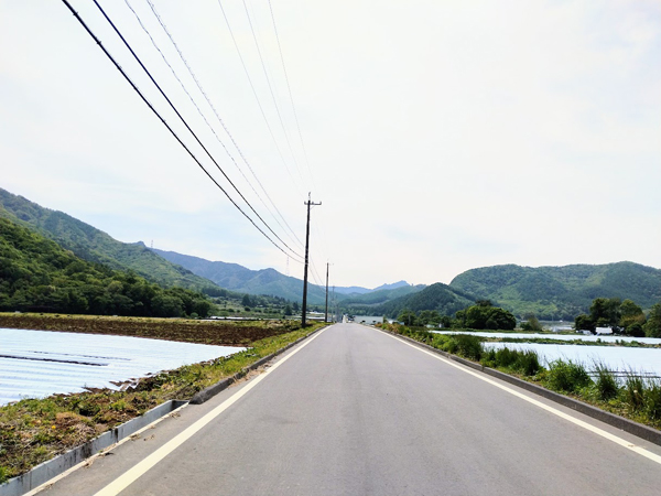 高登谷高原別荘地に続く道、両側はレタス畑。