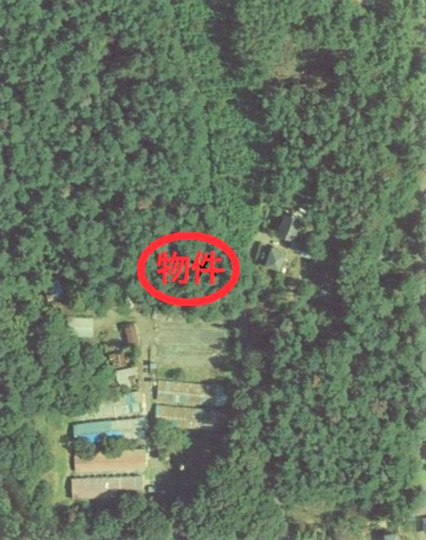 周辺は森に囲まれている。国土地理院地図を加工。