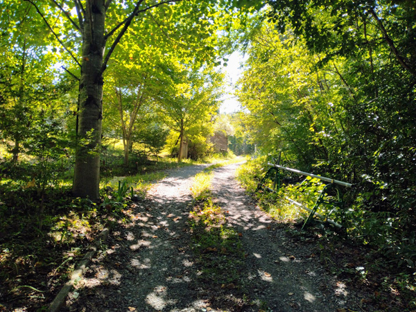 ⑦県道へ続く道。