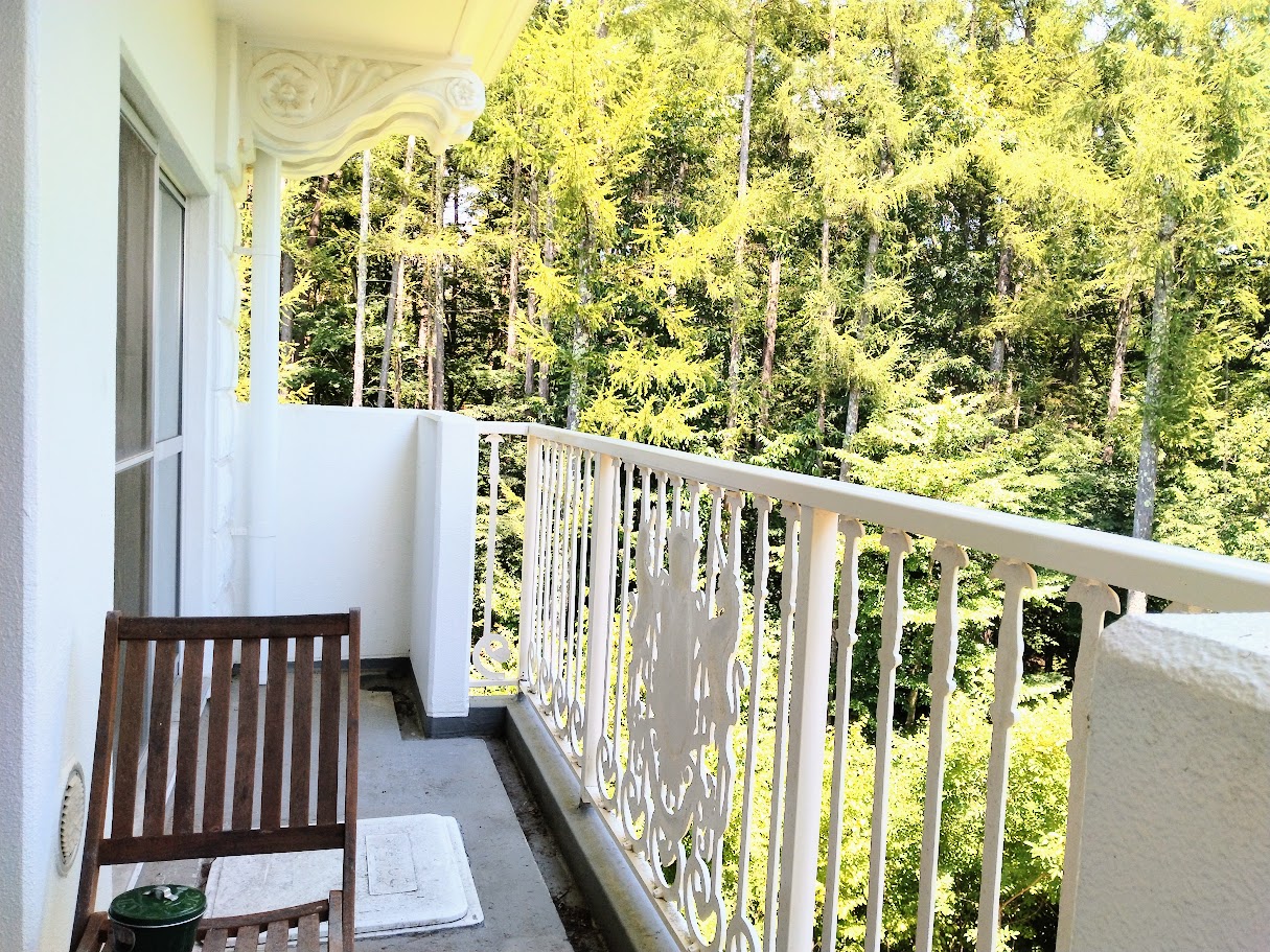 バルコニーの様子。