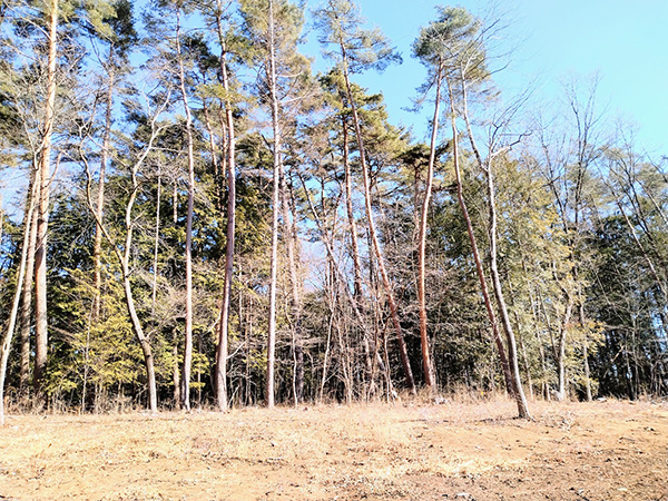 ⑧敷地より東側隣地を見る。