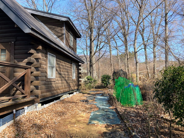 お庭の様子。ブルーベリー等が植えられている。