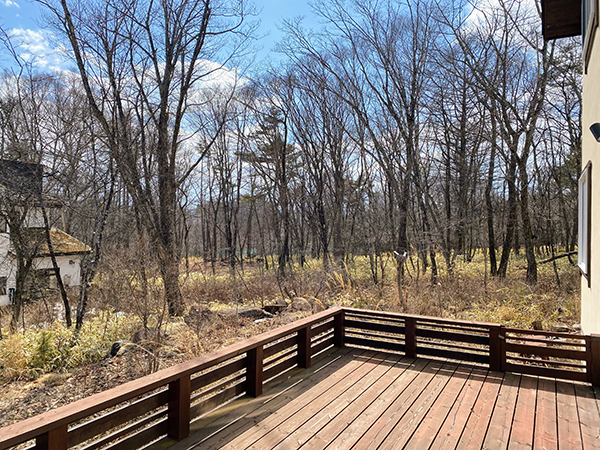 デッキから庭を眺める。西隣の区画は現況が雑木林。