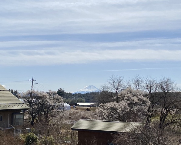 2階からの富士山の眺め