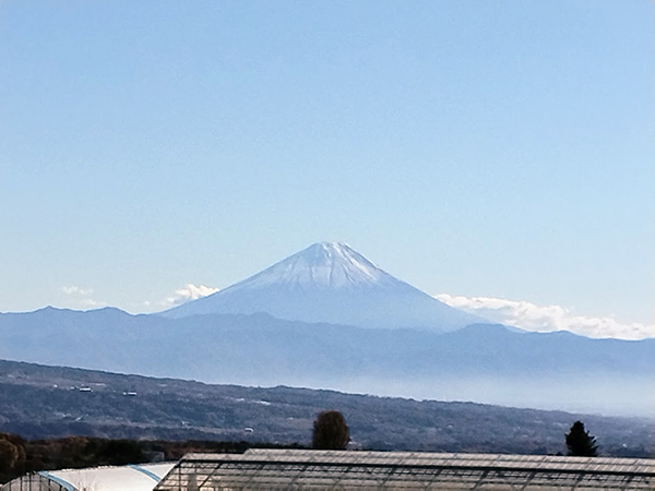 物件から車で3分ほどに富士山の絶景ポイントがある。