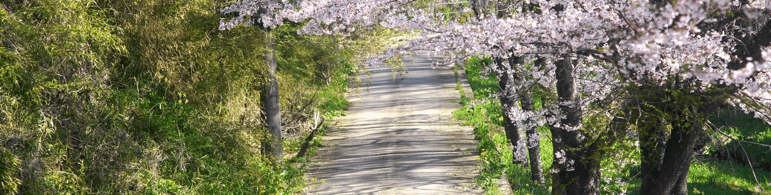 物件見学のしかた