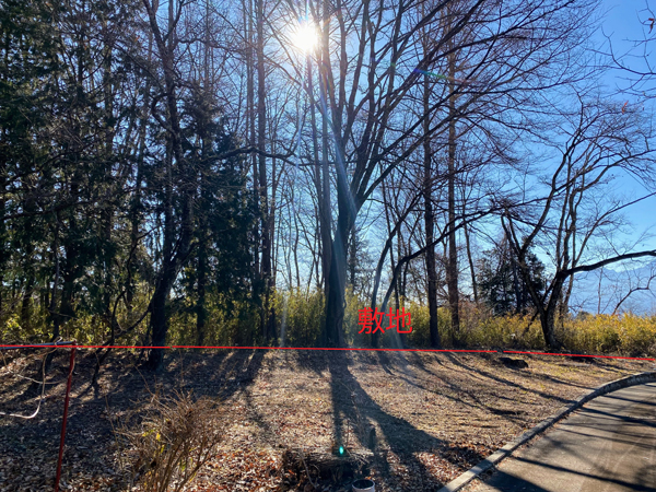 西側接道から敷地を見る。④