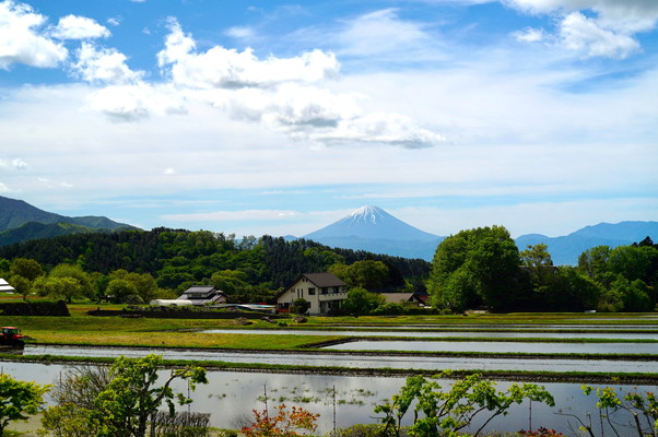 2階から見た富士山の眺め。電線等の視界を遮るもの無しに望める。