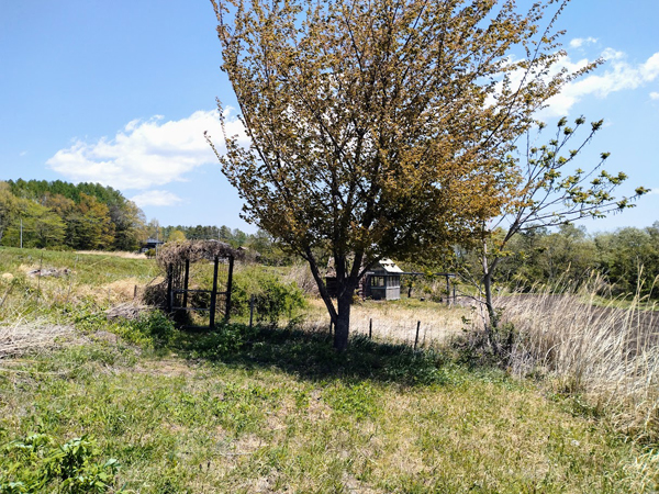 周囲は畑、360度のパノラマ　203坪の土地。