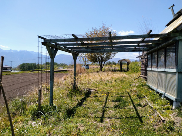 敷地内、小屋の前の様子。