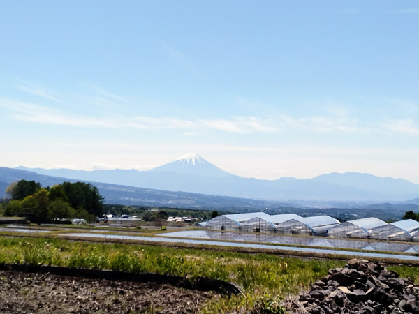 少し歩けば富士山の眺望がある。