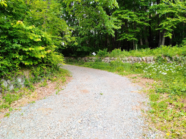 前面道路の様子。