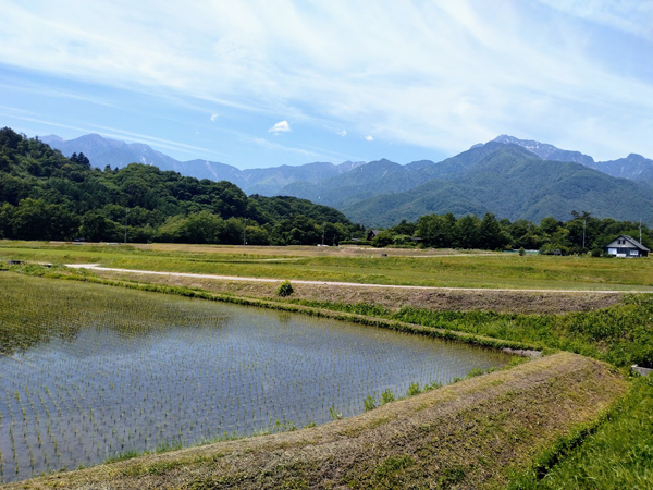 分譲地の南側には田園風景が広がる。