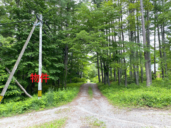 北側道路の様子。