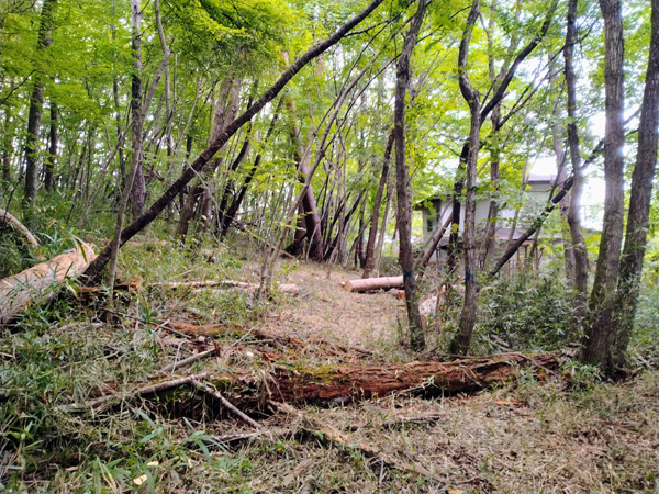 ③東側隣地。周辺には別荘が点在する。